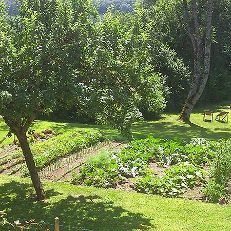 L'Ourserie Bed & Breakfast Saint-Paul-en-Chablais Екстер'єр фото