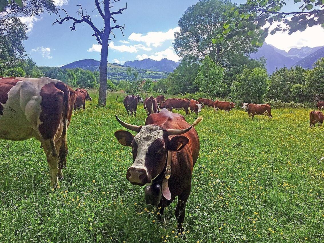 L'Ourserie Bed & Breakfast Saint-Paul-en-Chablais Номер фото